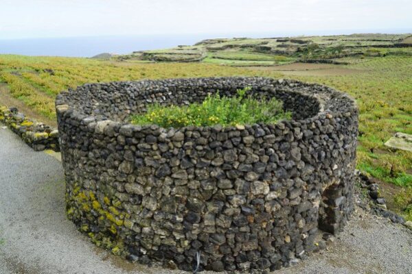 Pantelleria Doc